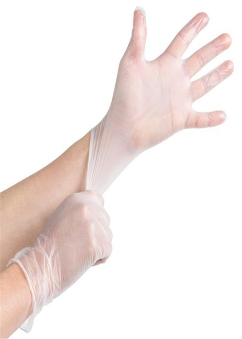 Clear Vinyl Disposable Medical Gloves Powder Free Or Powdered With CE FDA ISO