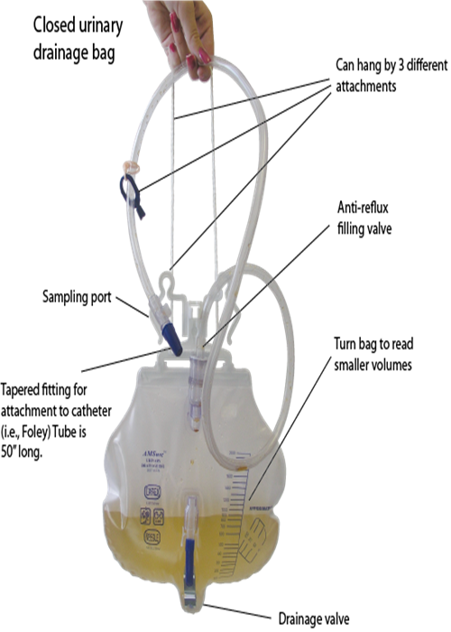 Durable PVC Disposable Urine Bags Composite Luxurious With Sampling Port
