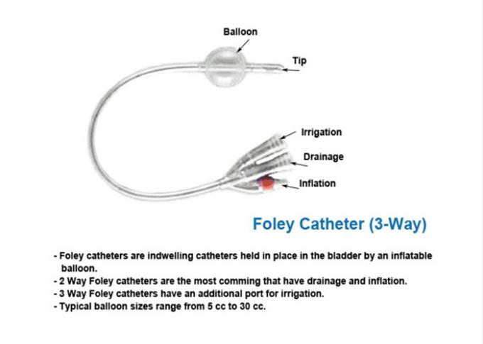 Natural Silicone Foley Urinary Catheter Latex Free Bio - Compatible With Three Cavity